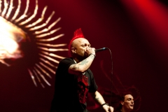 The Exploited