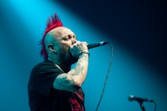 The Exploited