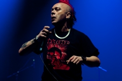 The Exploited