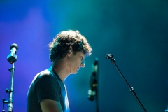 Gotye