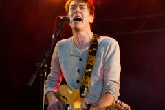 Geppetto & The Whales