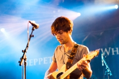 Geppetto & The Whales