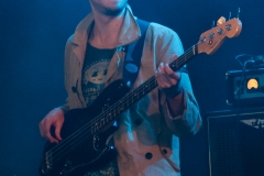 Geppetto & The Whales