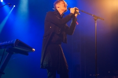 Ozark Henry