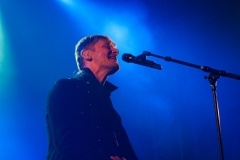 Ozark Henry
