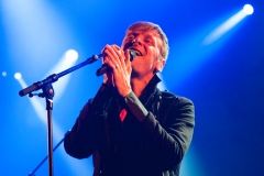 Ozark Henry