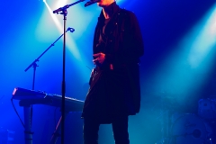 Ozark Henry