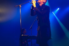 Ozark Henry