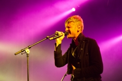 Ozark Henry
