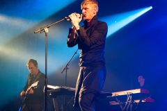 Ozark Henry