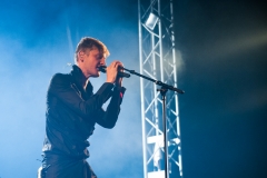Ozark Henry