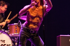Iggy & The Stooges