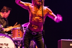 Iggy & The Stooges