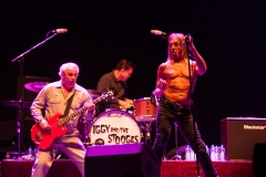Iggy & The Stooges