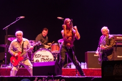 Iggy & The Stooges