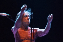 Iggy & The Stooges
