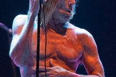 Iggy & The Stooges