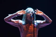 Iggy & The Stooges