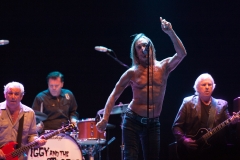 Iggy & The Stooges