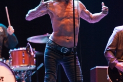 Iggy & The Stooges