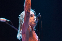Iggy & The Stooges