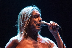 Iggy & The Stooges